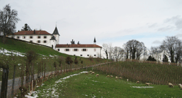 Schlosskeller in St. Margrethen Schlosskeller in St. Margrethen