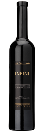 Infini 2007