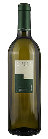 Pinot Blanc Cirrus 2008