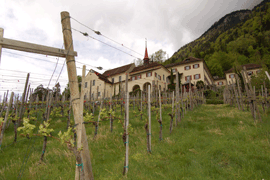 Ehemaliger Kapuzinerkloster und Altdorfer Rebberg