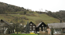 Steillagen in Berneck.