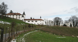 Schlosskeller in St. Margrethen