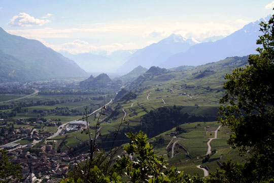 Wallis, Blick nach Sion