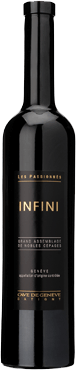 Infini 2008